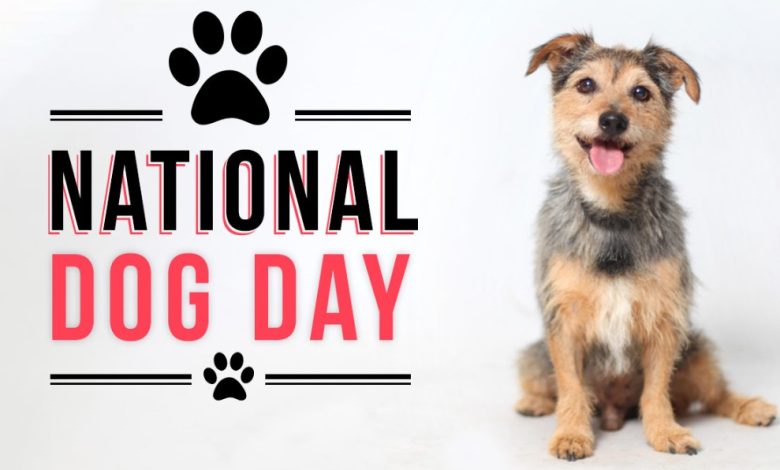 Happy National Dog Day 2023