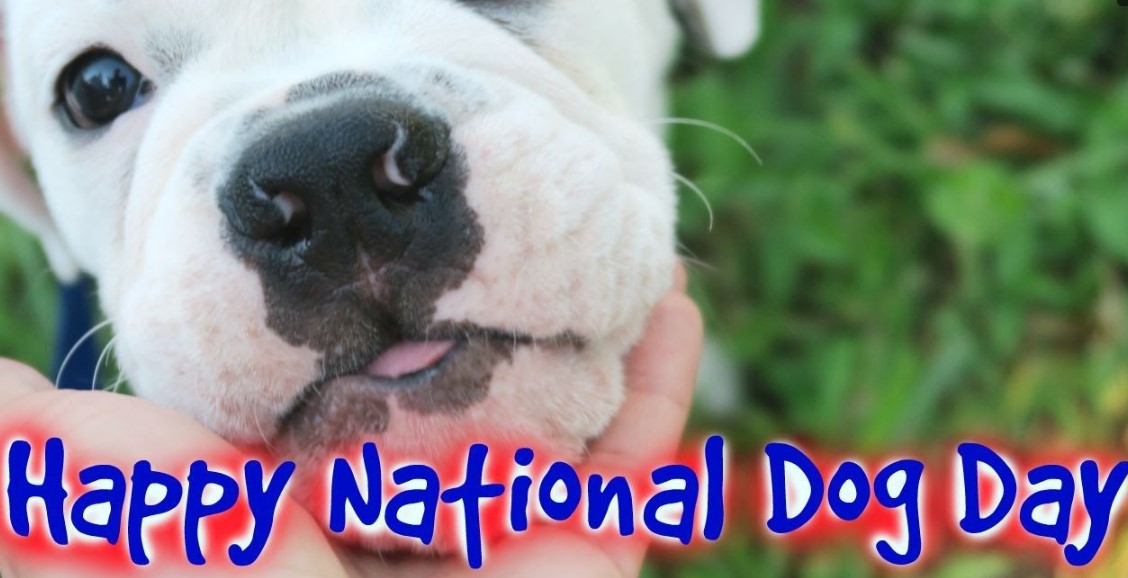 Happy National Dog Day Images