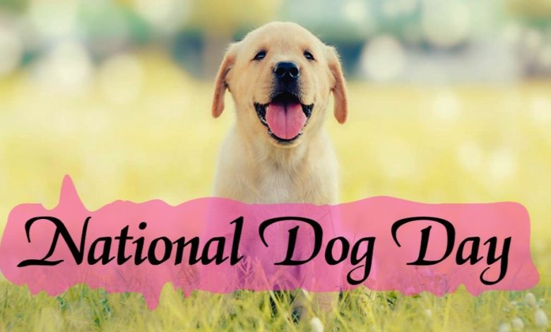National Dog Day 2023