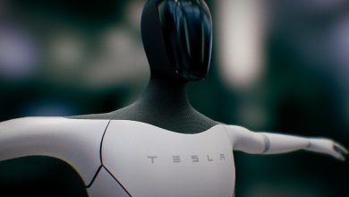 Tesla Robot