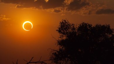 2024 Solar Eclipse