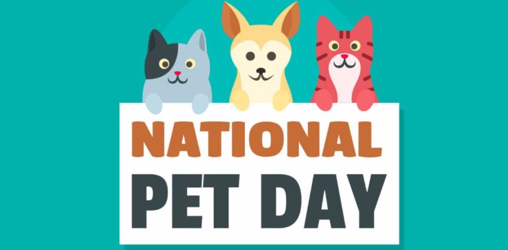 National Pet Day 2024